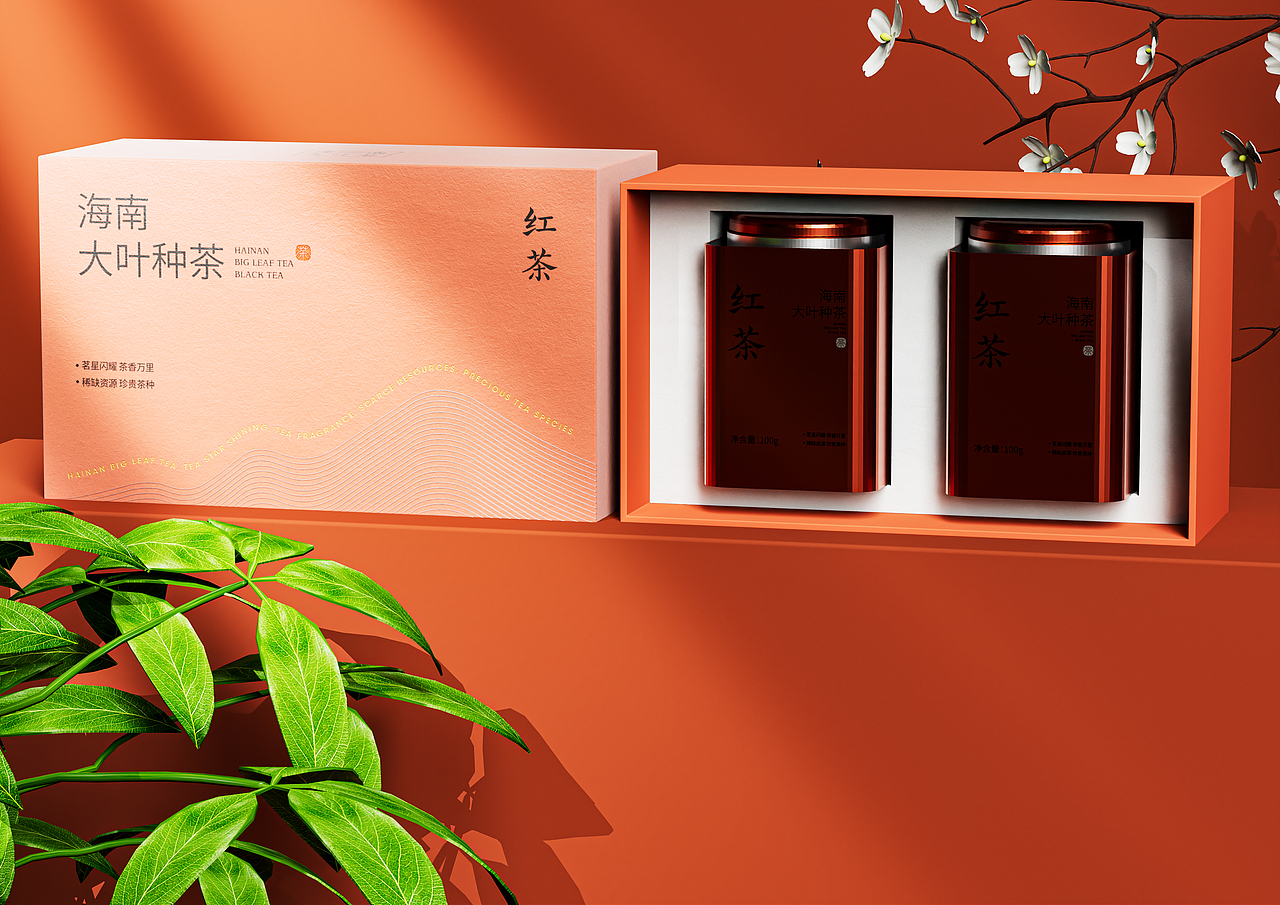 见·山海丨海南大叶茶包装设计(图ZMzY5MTEzMzA0) - 包装 - 站酷设计师六小出DESIGN原创素材 - 站酷ZCOOL
