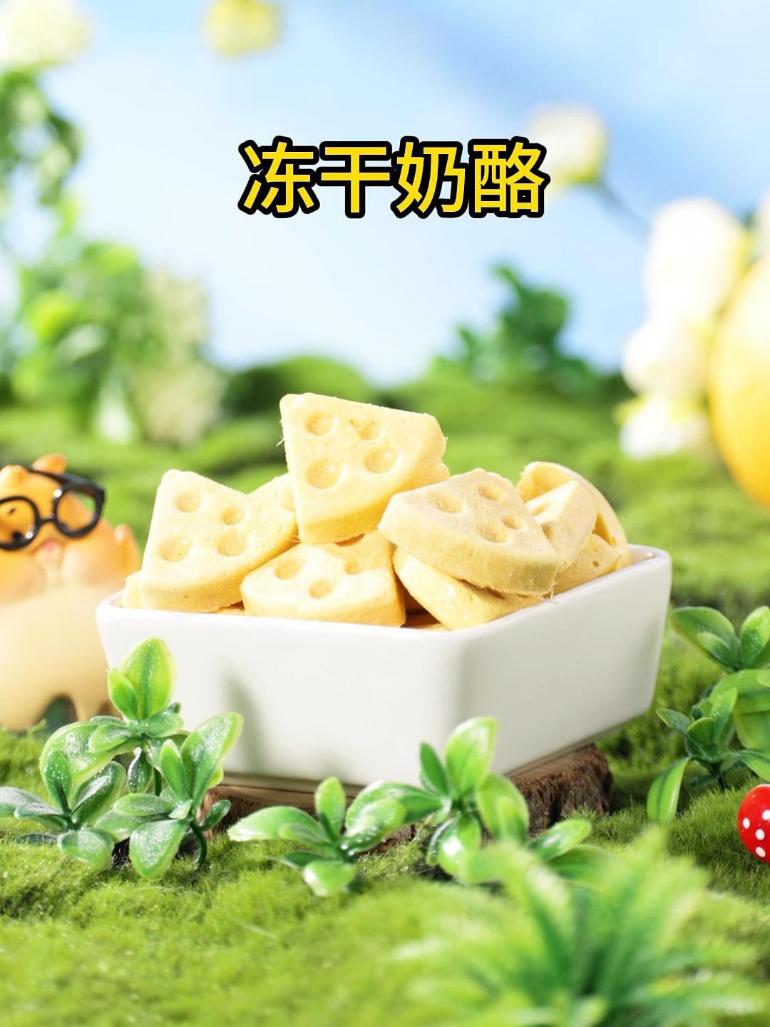 布卡星 仓鼠吃的玩的（图ZMzU3Njc1MDQ0） - 产品摄影 - 站酷设计师城西黄晓明原创素材 - 站酷ZCOOL