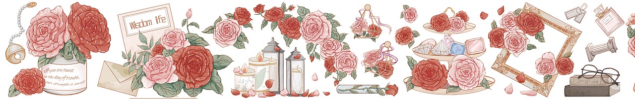 胶带稿 8月玫瑰