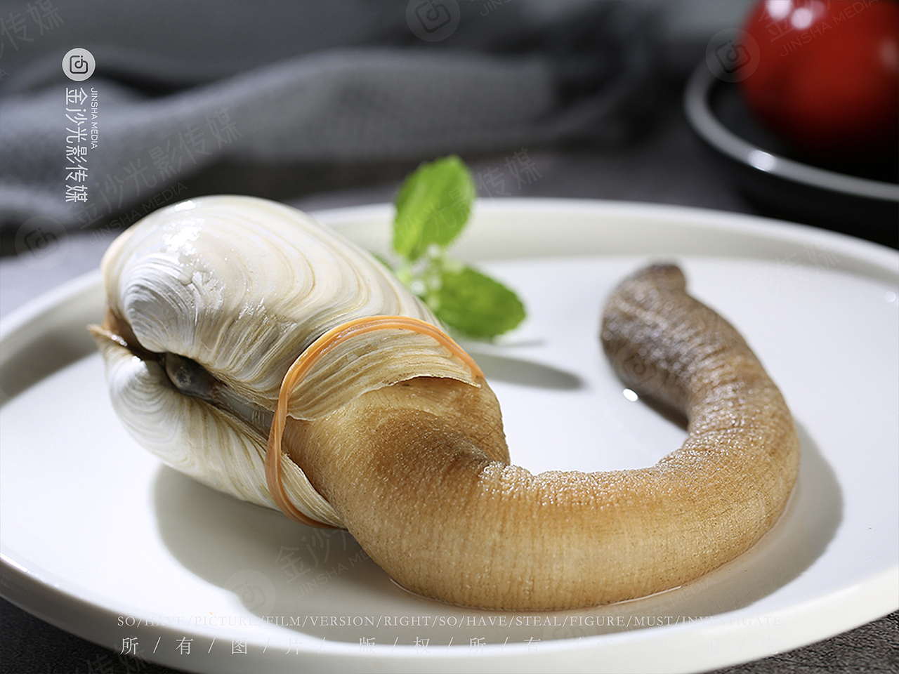 象牙蚌|花甲|蛤蜊|美味海鲜