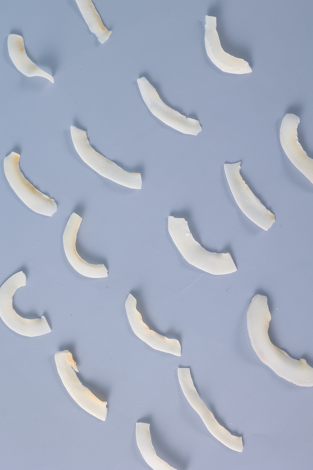 椰子片 产品拍摄