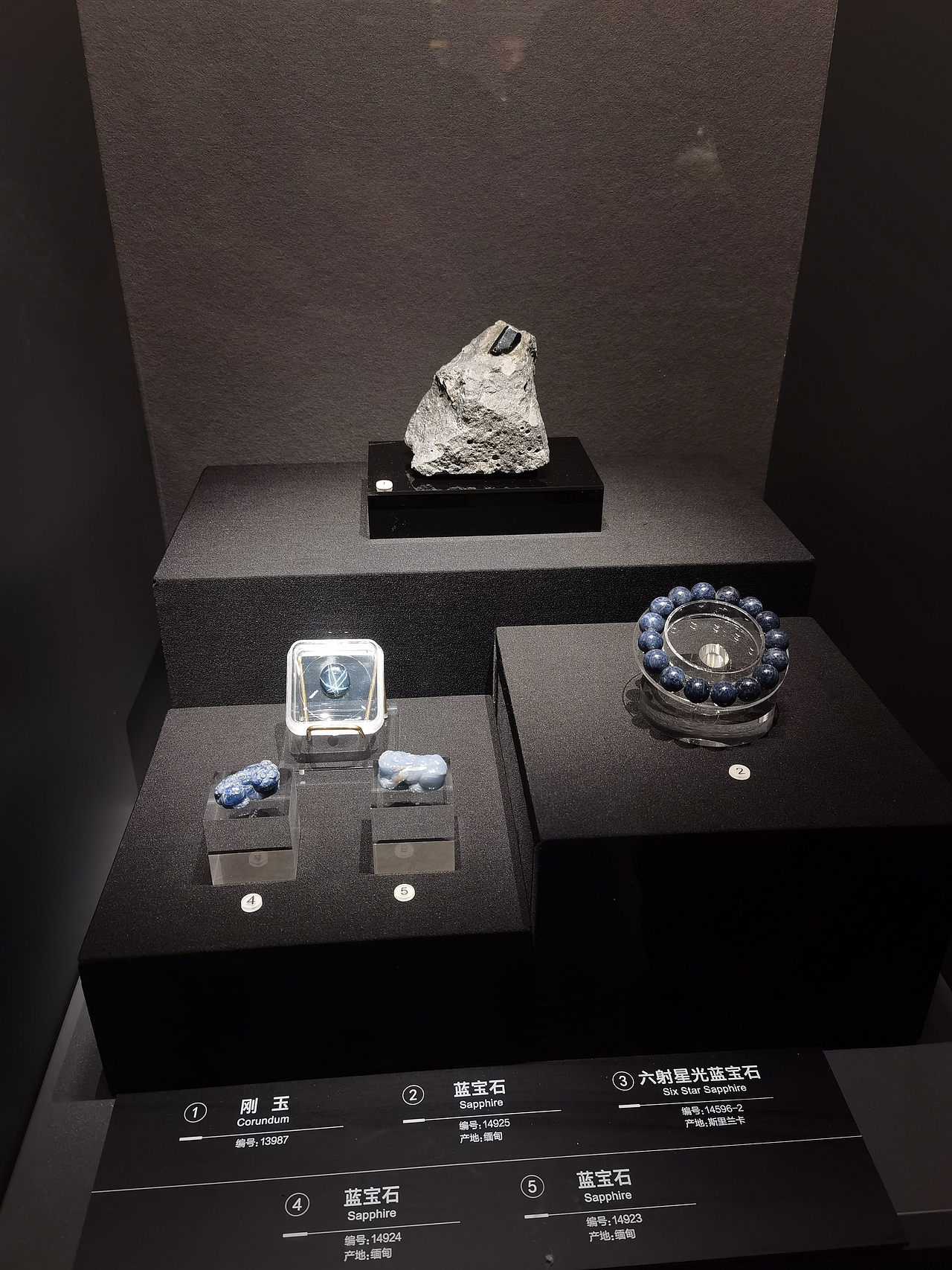 成都自然博物馆（图ZMzI0NTI3Mzgw） - 展陈设计 - 站酷设计师聚光灯下锦衣夜行原创素材 - 站酷ZCOOL