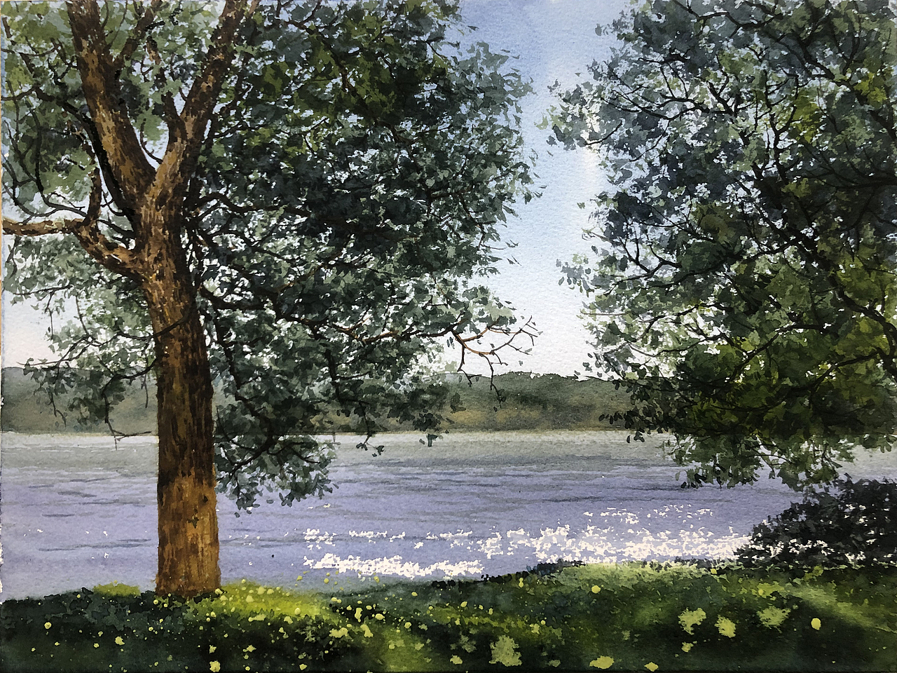 水彩风景——夏树生非花(2022 夏日里的树先生们)