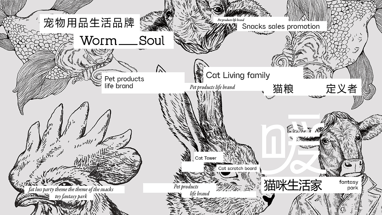 《 暖 》宠物生活方式品牌 — 猫咪生活家