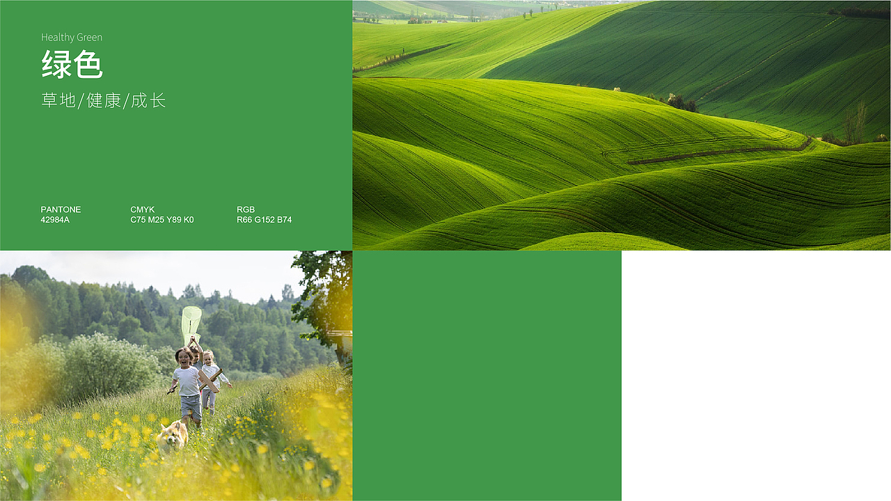 满天星标志提案