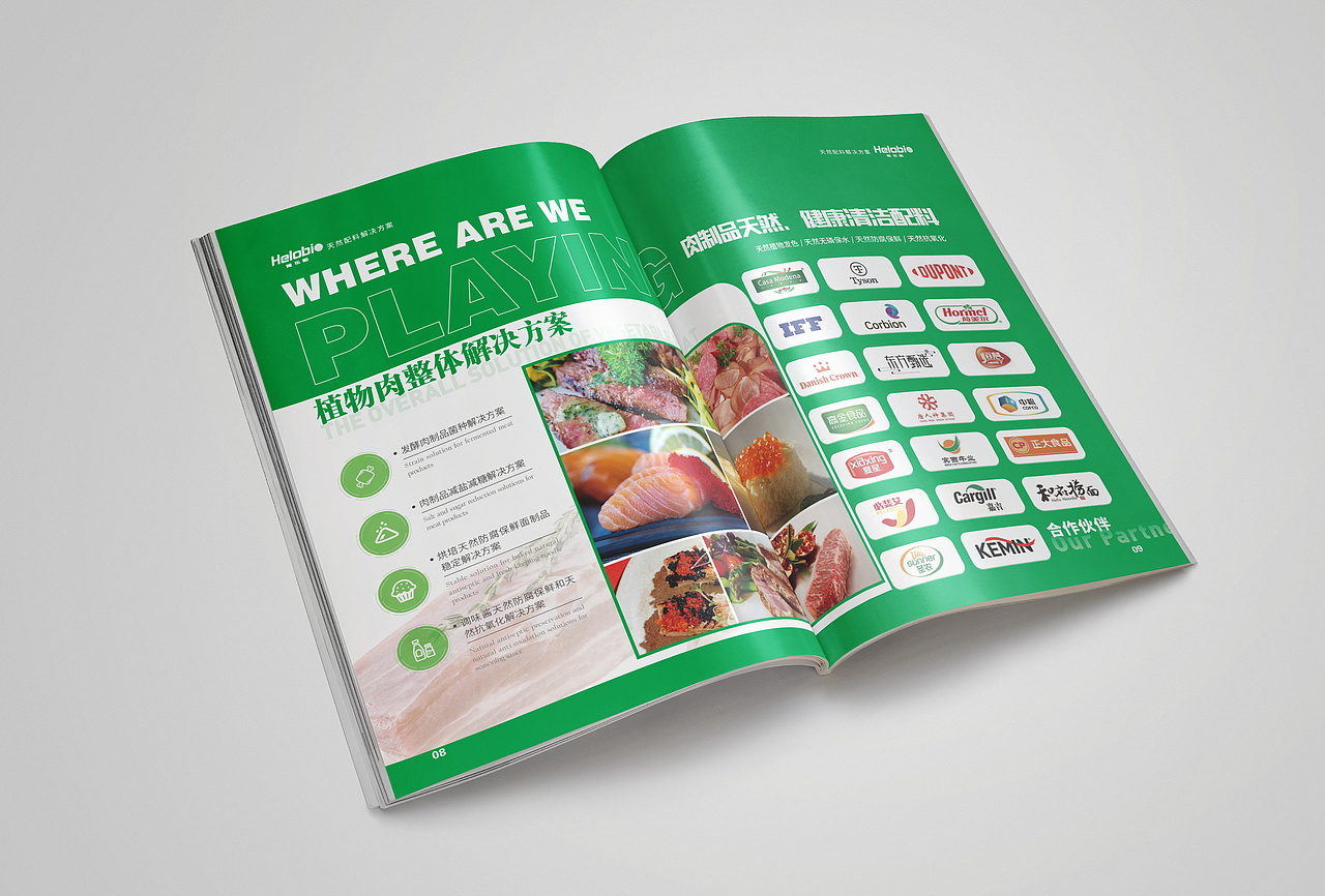 食品企业宣传画册
