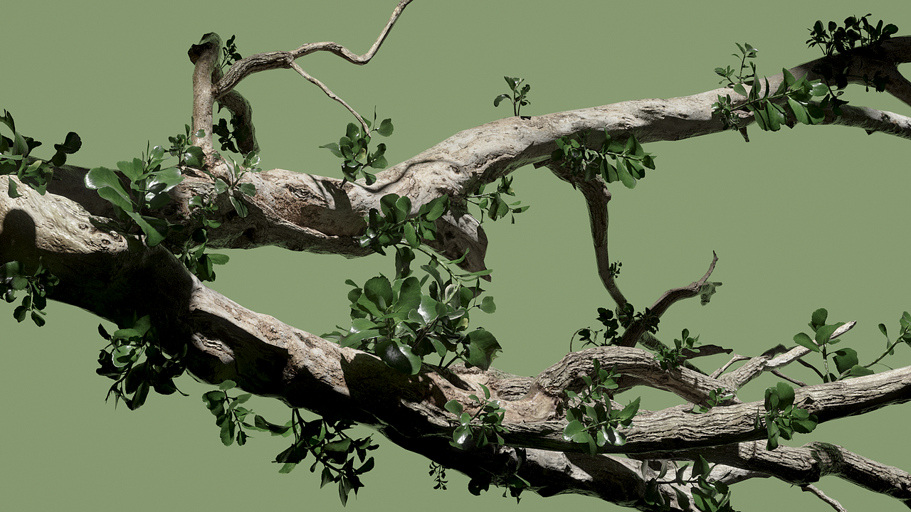 【Trunk】行李箱动画渲染