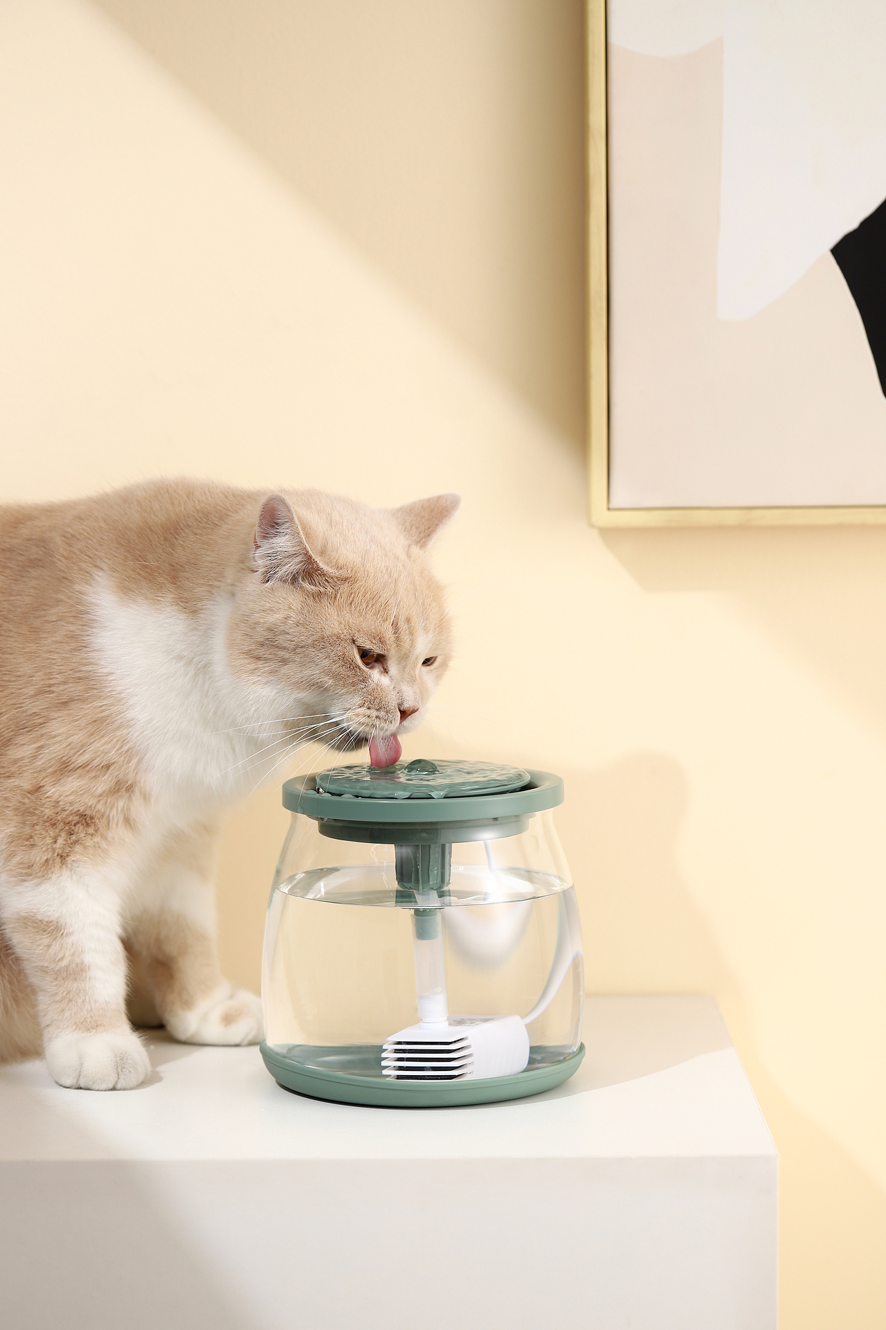 宠物用品/高硼硅电动饮水机