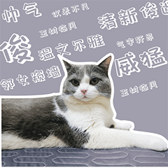 叮当的单身生活（图ZMzEyODE1MTk2） - 网络表情 - 站酷设计师runningPP原创素材 - 站酷ZCOOL