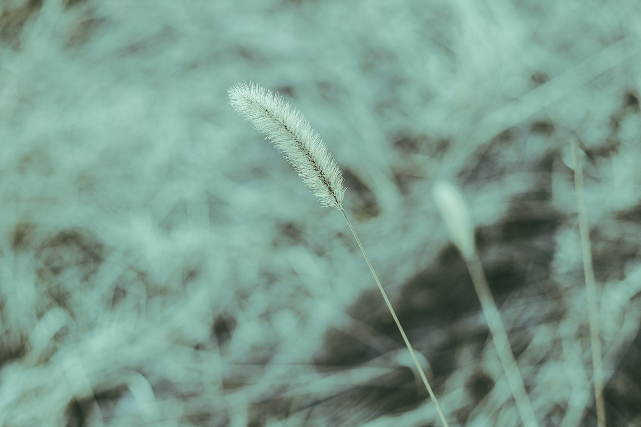 2020年作品—甘肃老家—静待春来