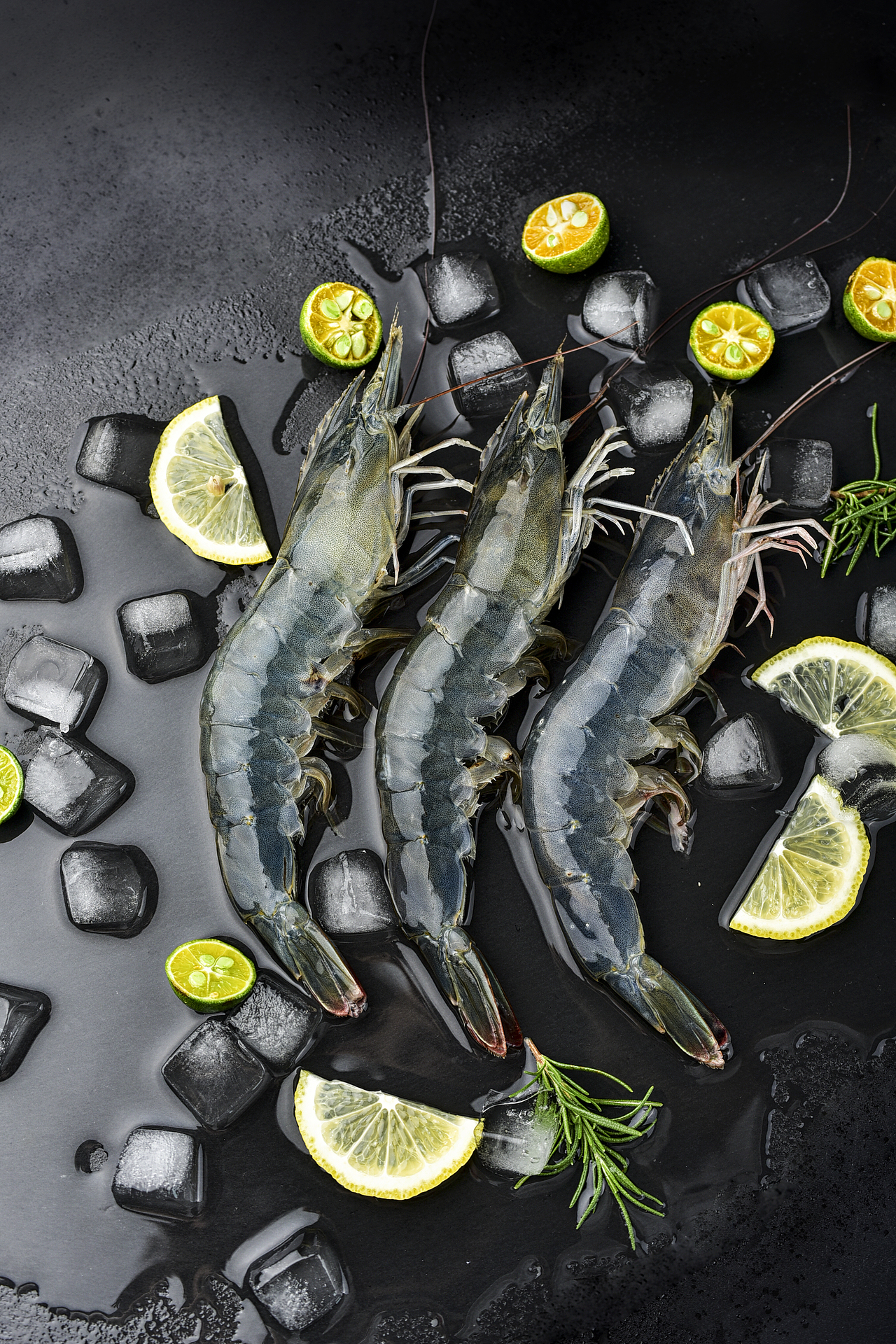 2023.3-2023.6海鲜作品集