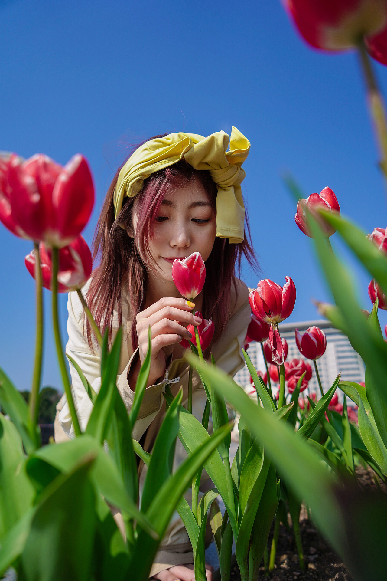 郁金香开了拍点花花草草（图ZMzMyMTAxMzUy） - 人像摄影 - 站酷设计师TIME_沙漏原创素材 - 站酷ZCOOL