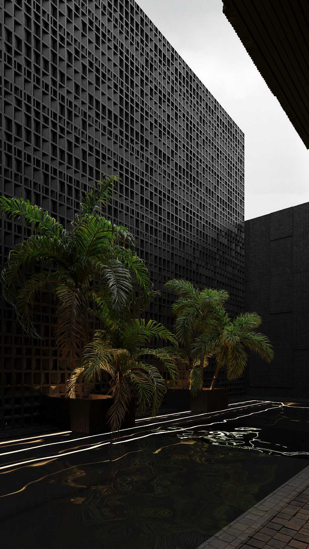 黑色森林——現代極簡別墅案例