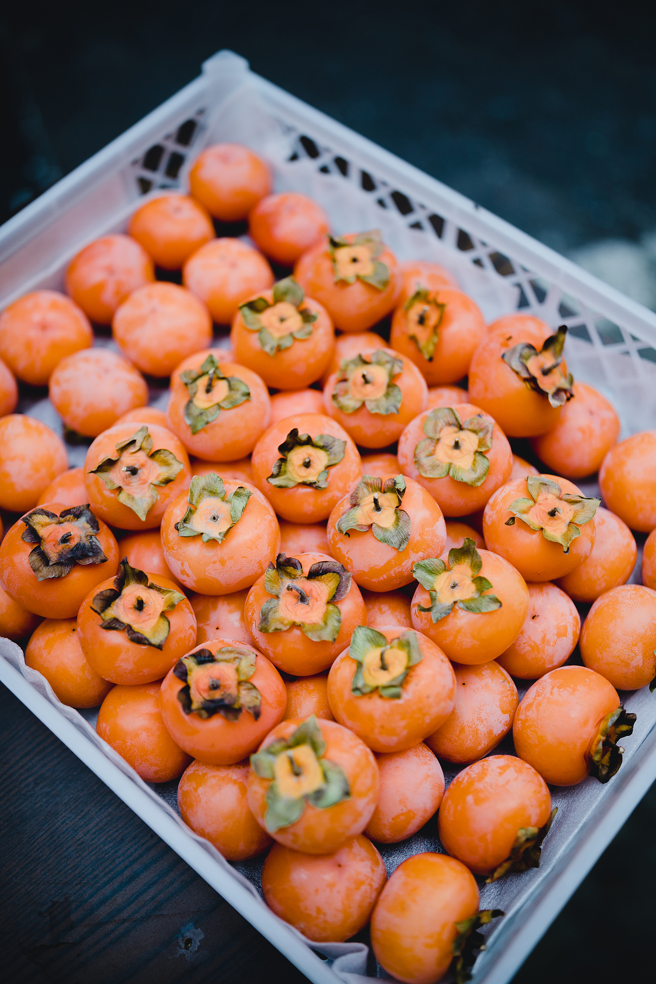 楼下新开了咖啡馆