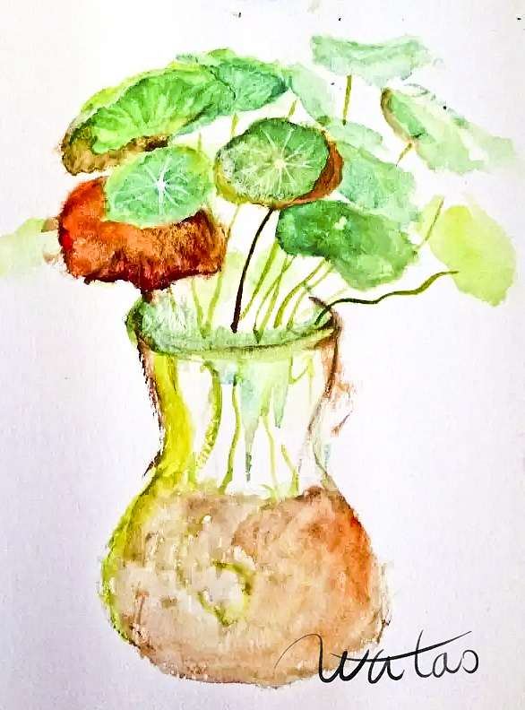 秋來（圖ZMzE2NTQ4OTIw） - 創(chuàng)作習作 - 站酷設(shè)計師天藍空空空原創(chuàng)素材 - 站酷ZCOOL