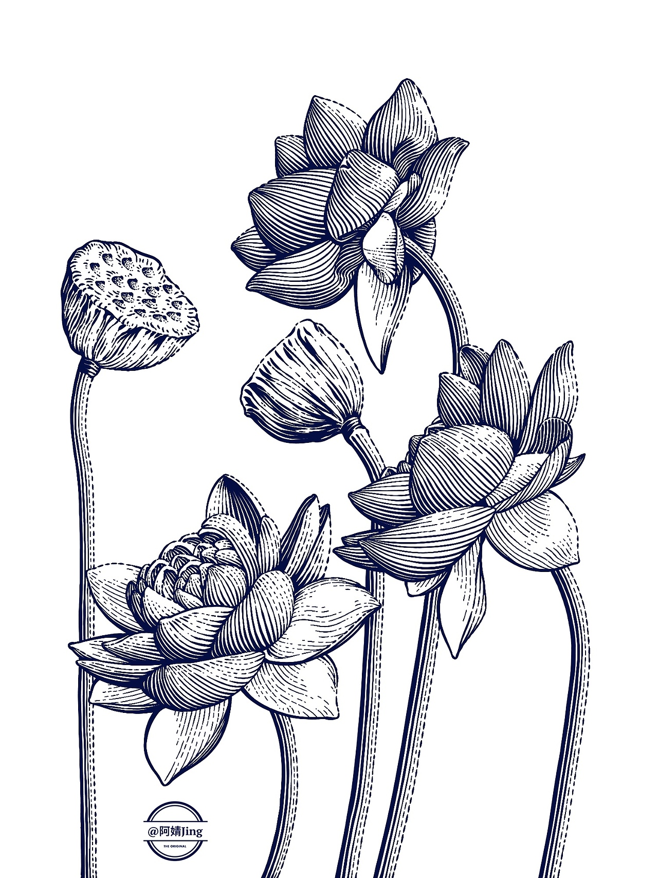 阿婧Jing | 2023年插画合集