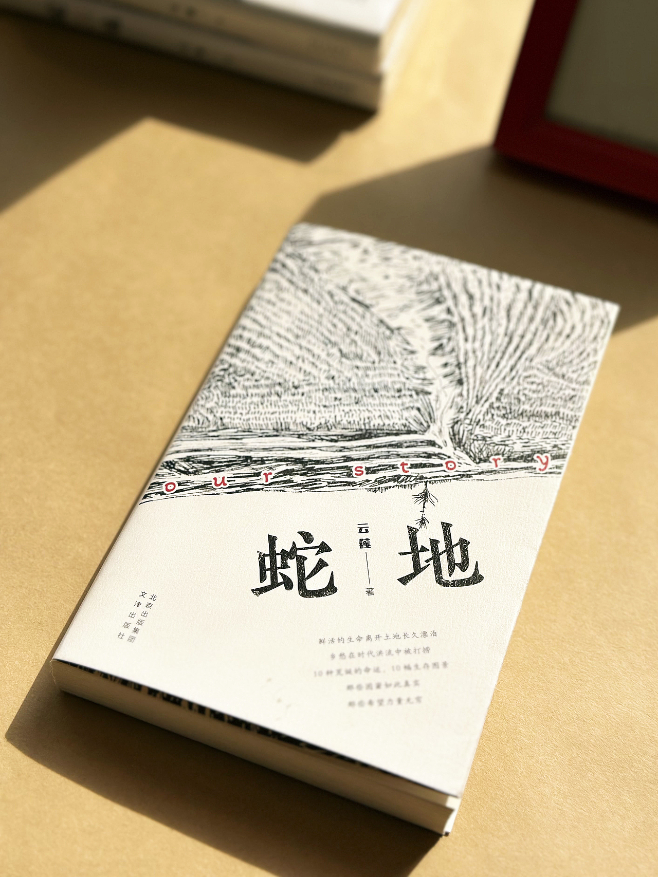 《蛇地》- 装帧设计