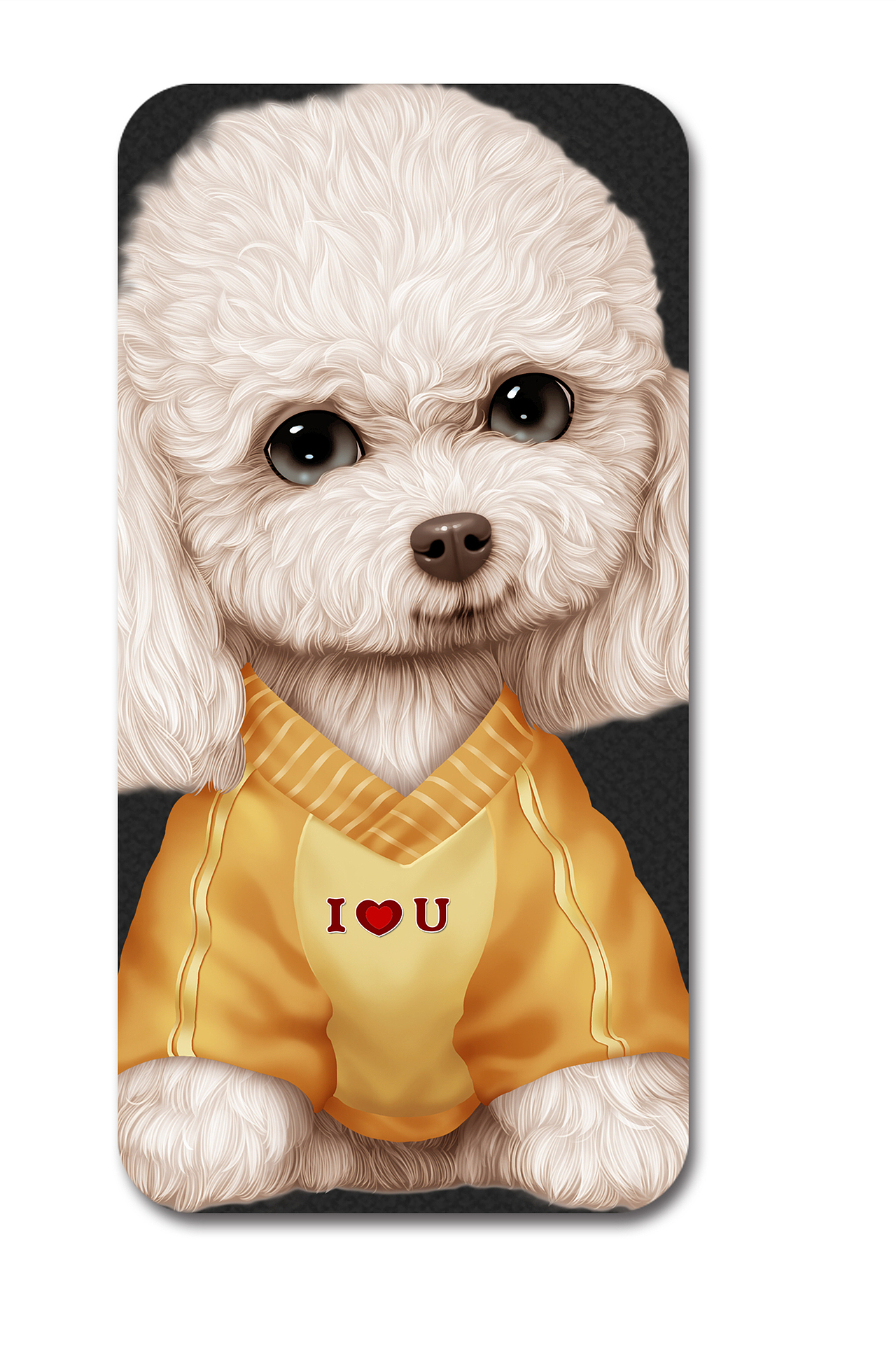 萌宠系列43---泰迪