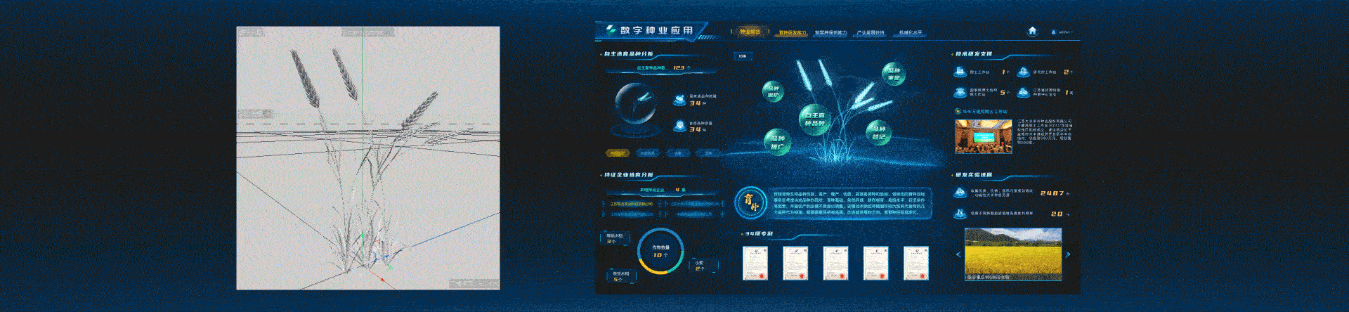 2022年部分数据可视化项目