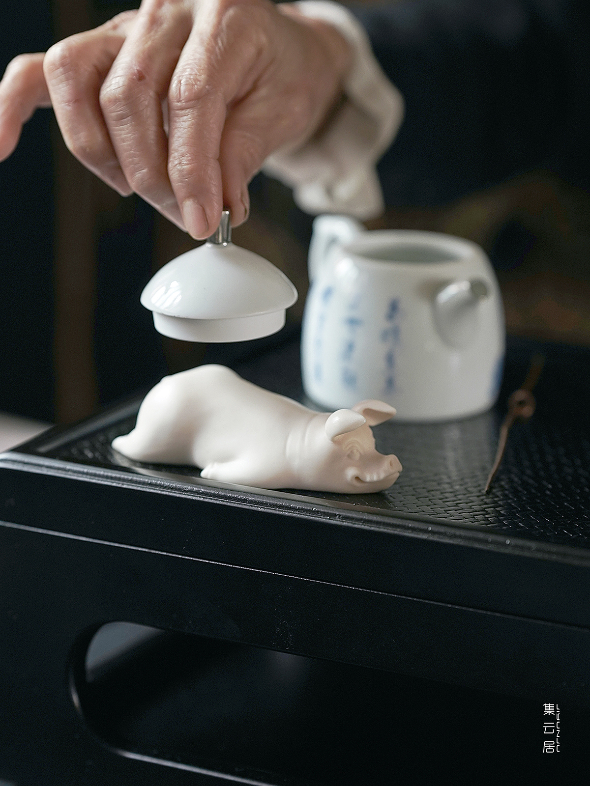 中国白·猪猪请趴好