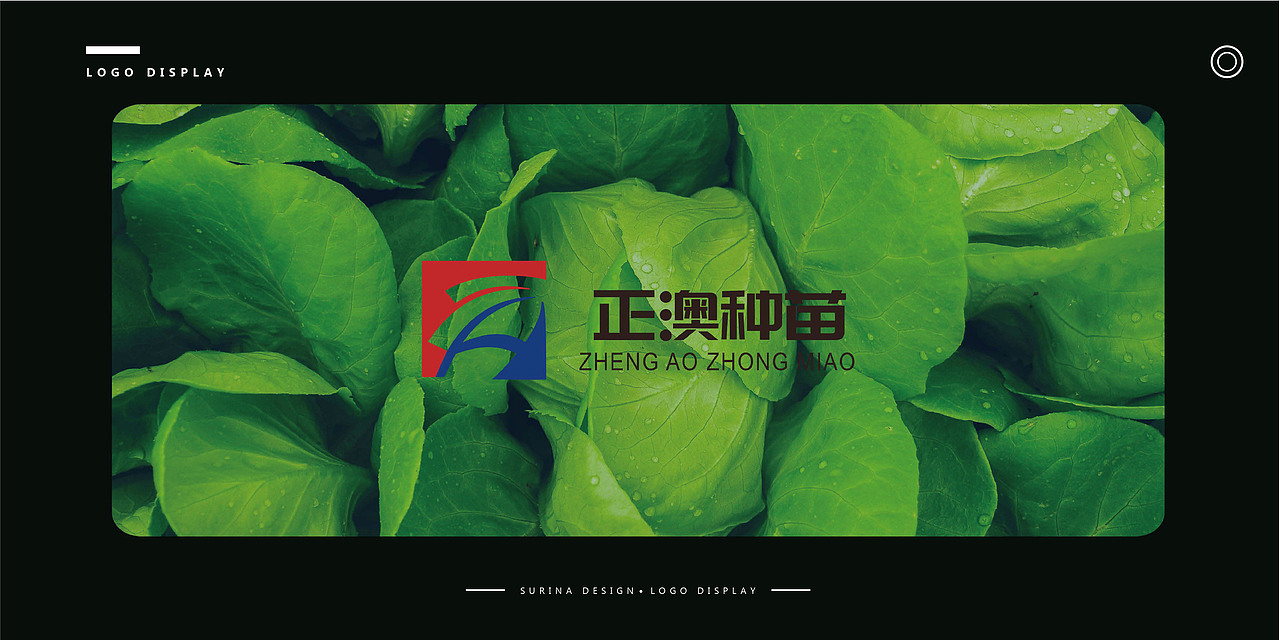 关于2020年的作品集