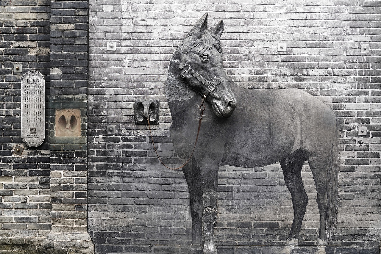 成都宽窄巷子2022