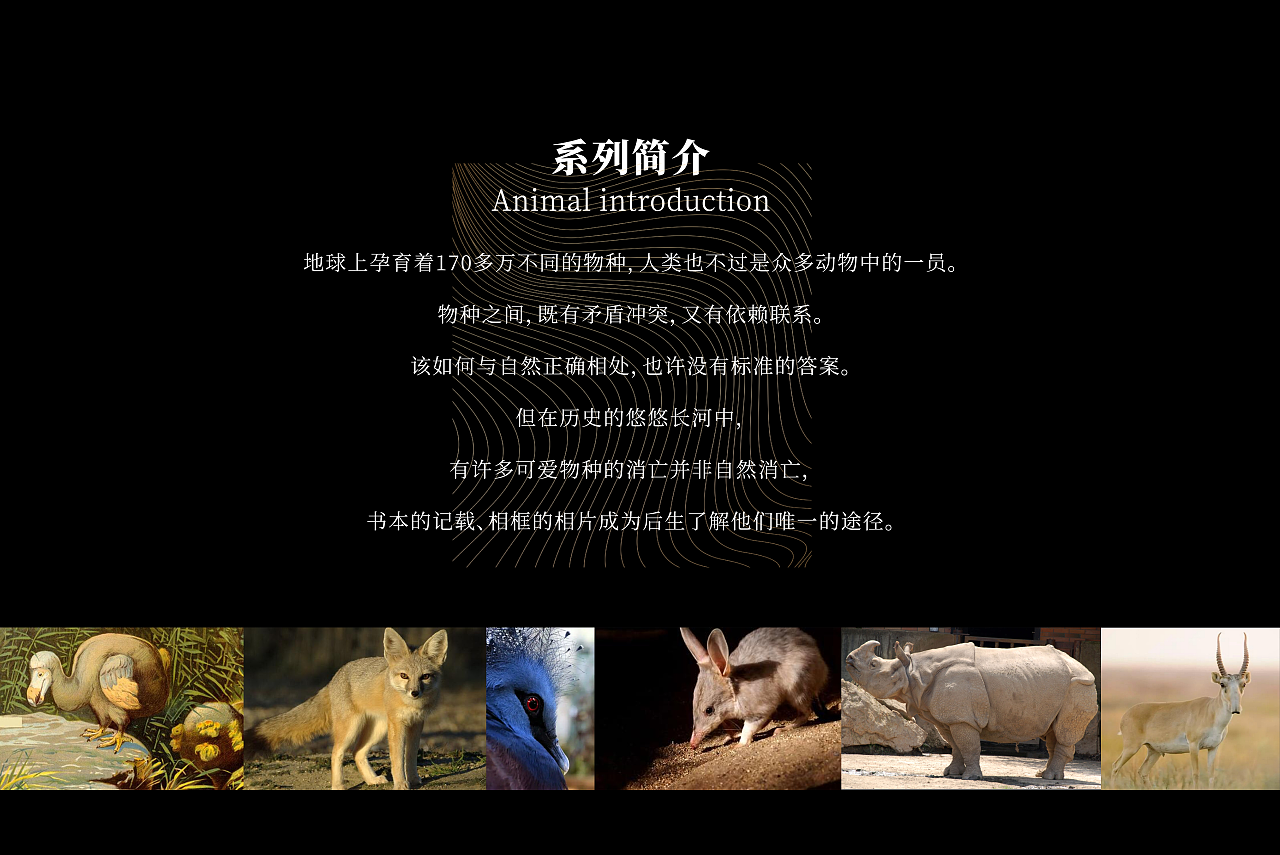 IP设计 | 相框里的动物（可授权）（图ZMzU1NTMxNDA0） - 人物/生物 - 站酷设计师涵堡酱原创素材 - 站酷ZCOOL