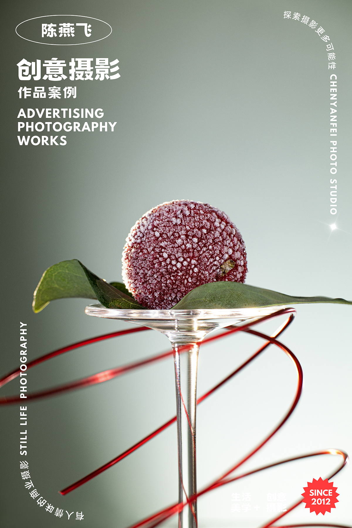 寻梅且好|国风电商美食摄影杨梅干摄影