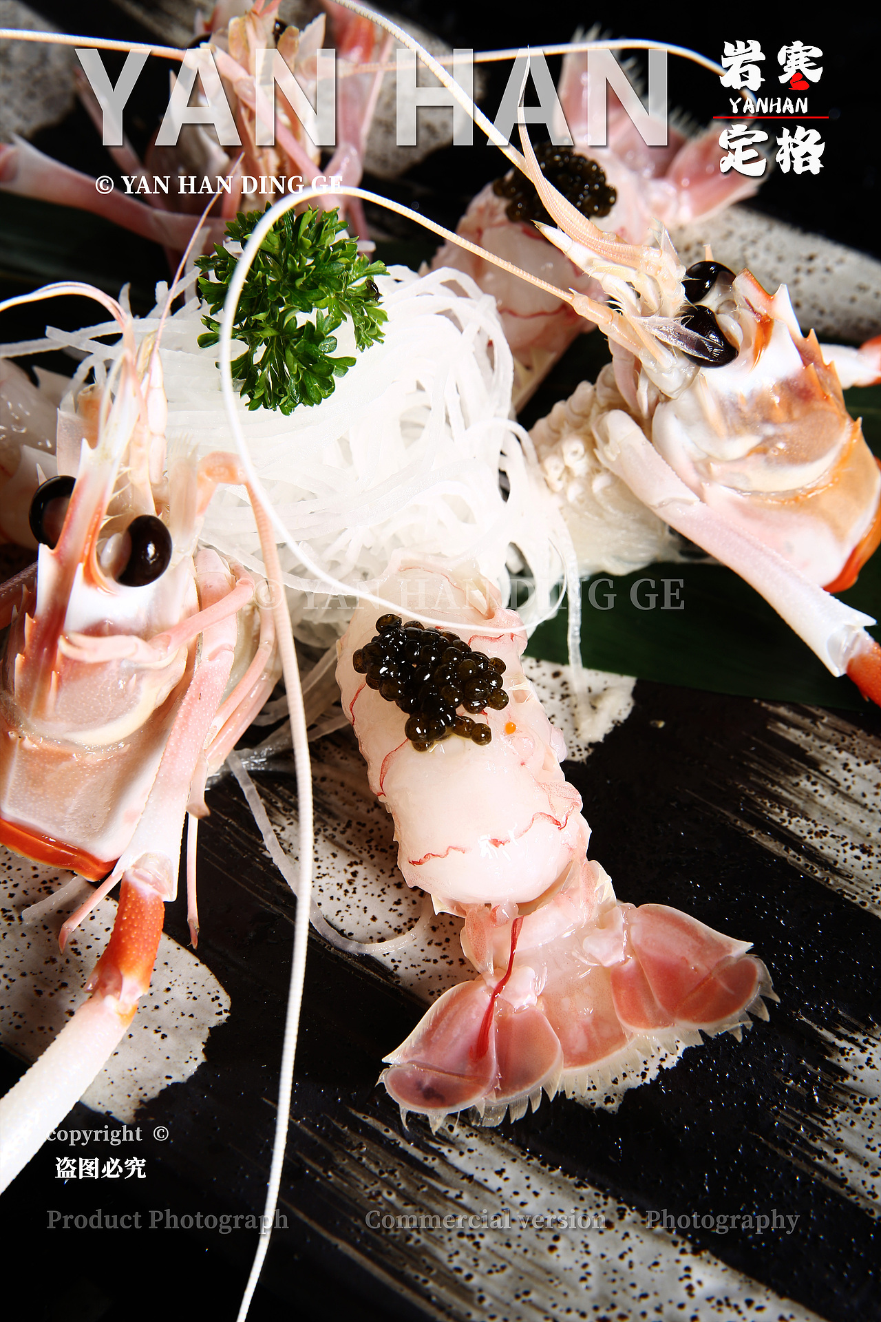 新西兰鳌虾拍摄