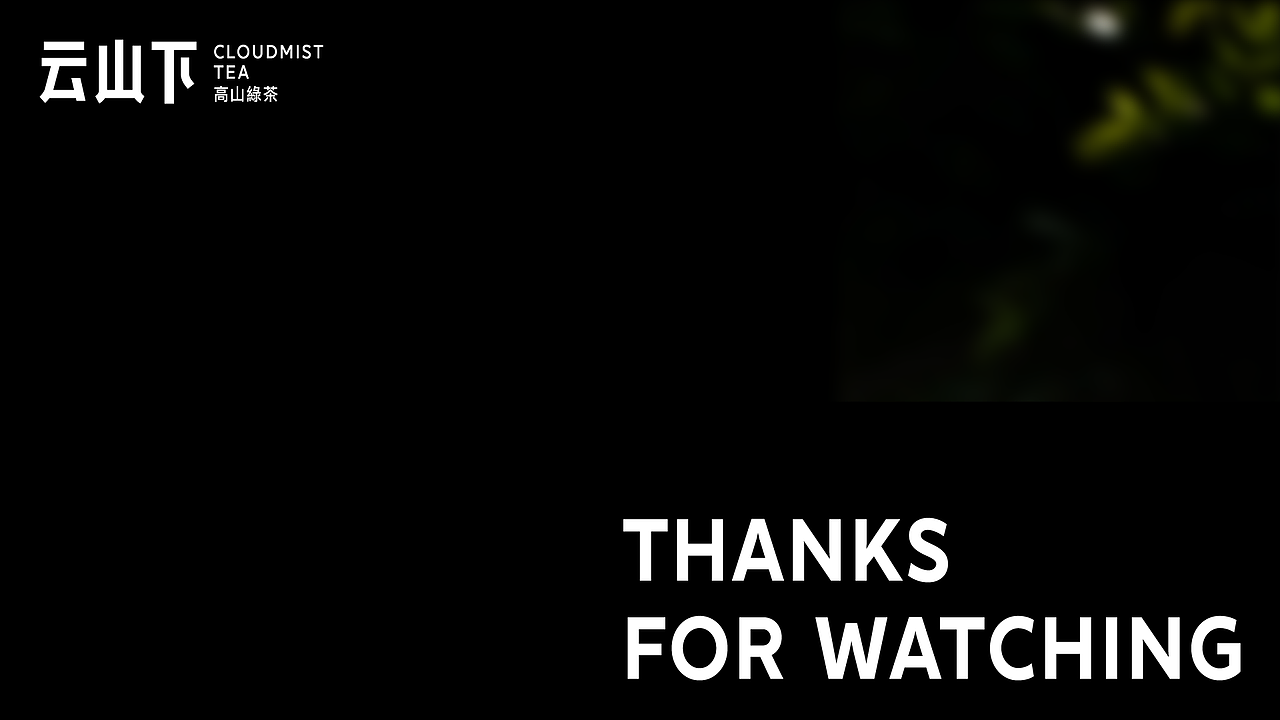 CloudMistTea Brand Design /云山下-高山绿茶品牌设计