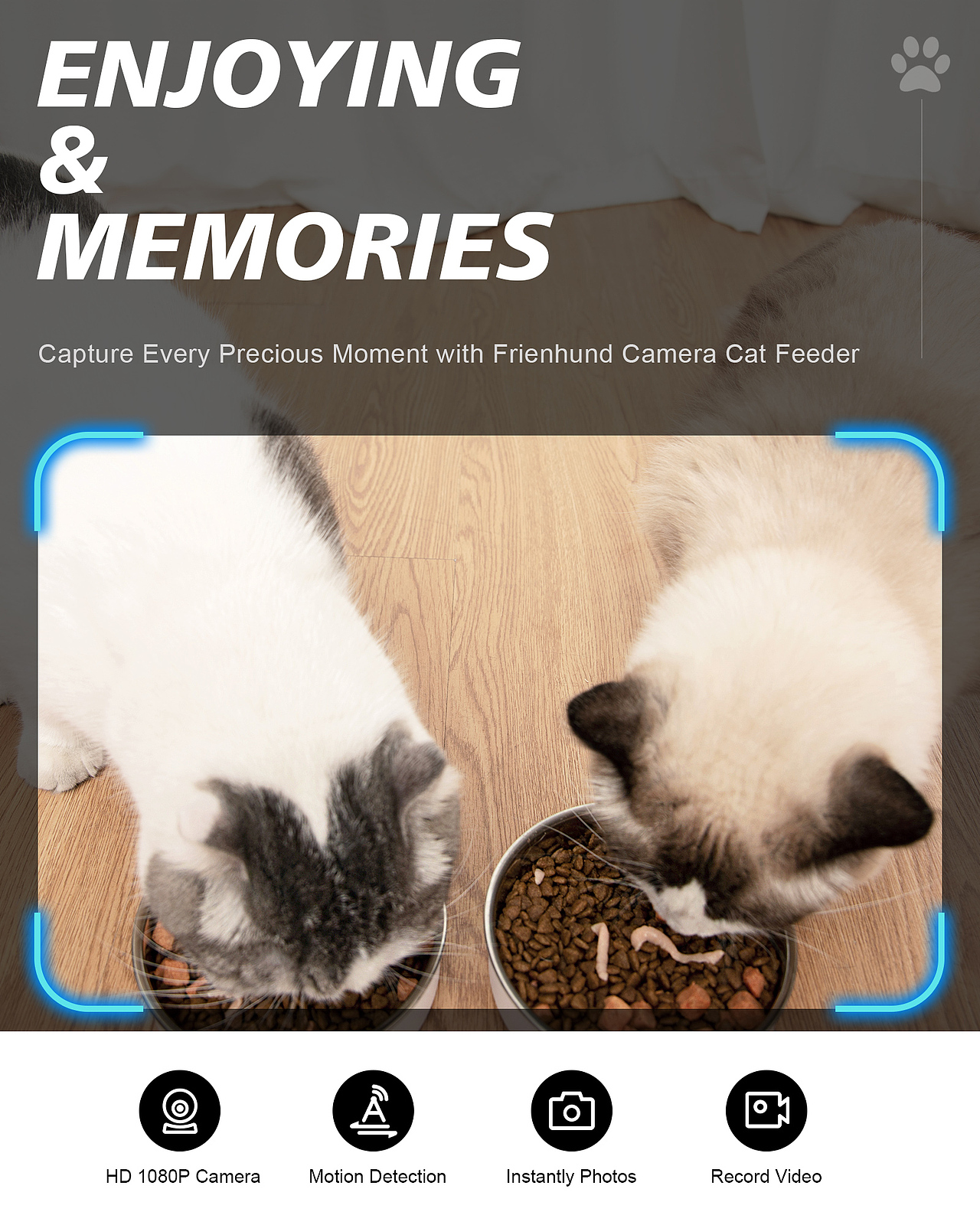 宠物投喂器视觉定制