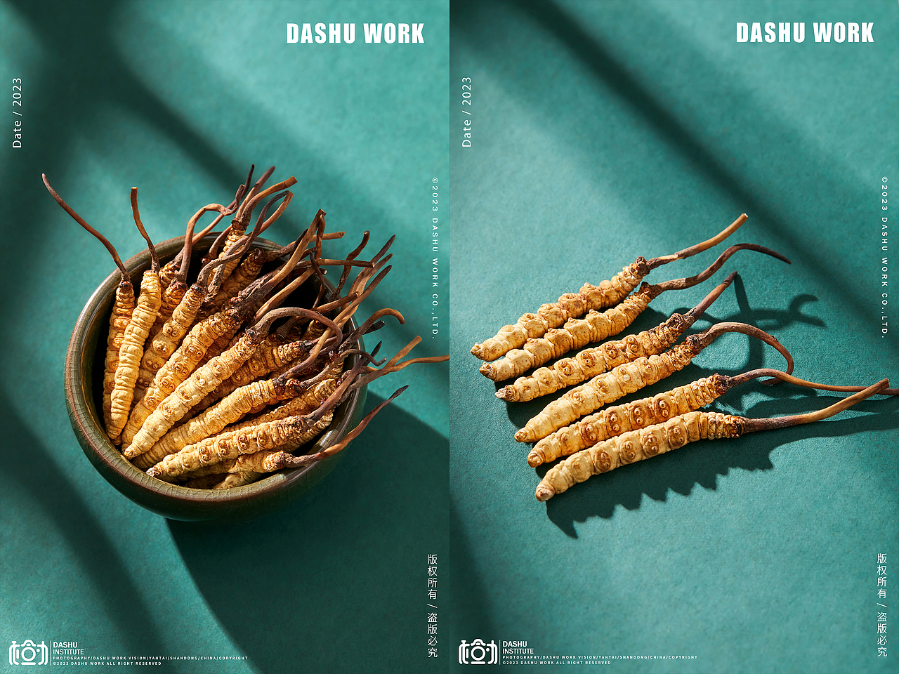 冬虫夏草|补品|中药|药材（图ZMzMxNzMyNTAw） - 美食摄影 - 站酷设计师大樹原创素材 - 站酷ZCOOL