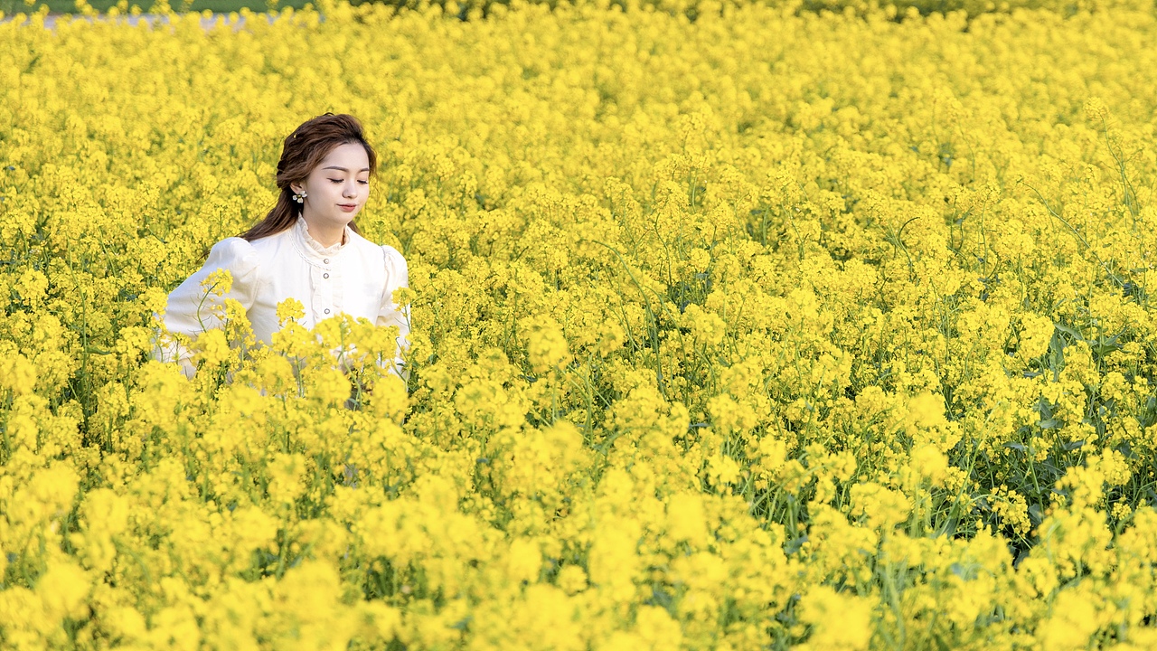 春天的油菜花（图ZMzY1ODA1MzI4） - 人像摄影 - 站酷设计师浪流的juice原创素材 - 站酷ZCOOL