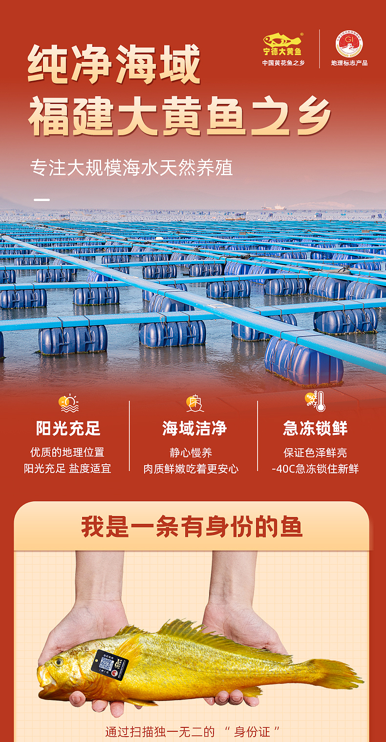 野化黄鱼详情2.0（图ZMzU5OTMyMjI4） - 电商 - 站酷设计师Maymay阿原创素材 - 站酷ZCOOL