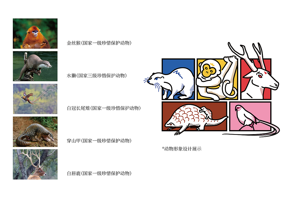 “不是薯片”巫山洋芋饼干包装设计