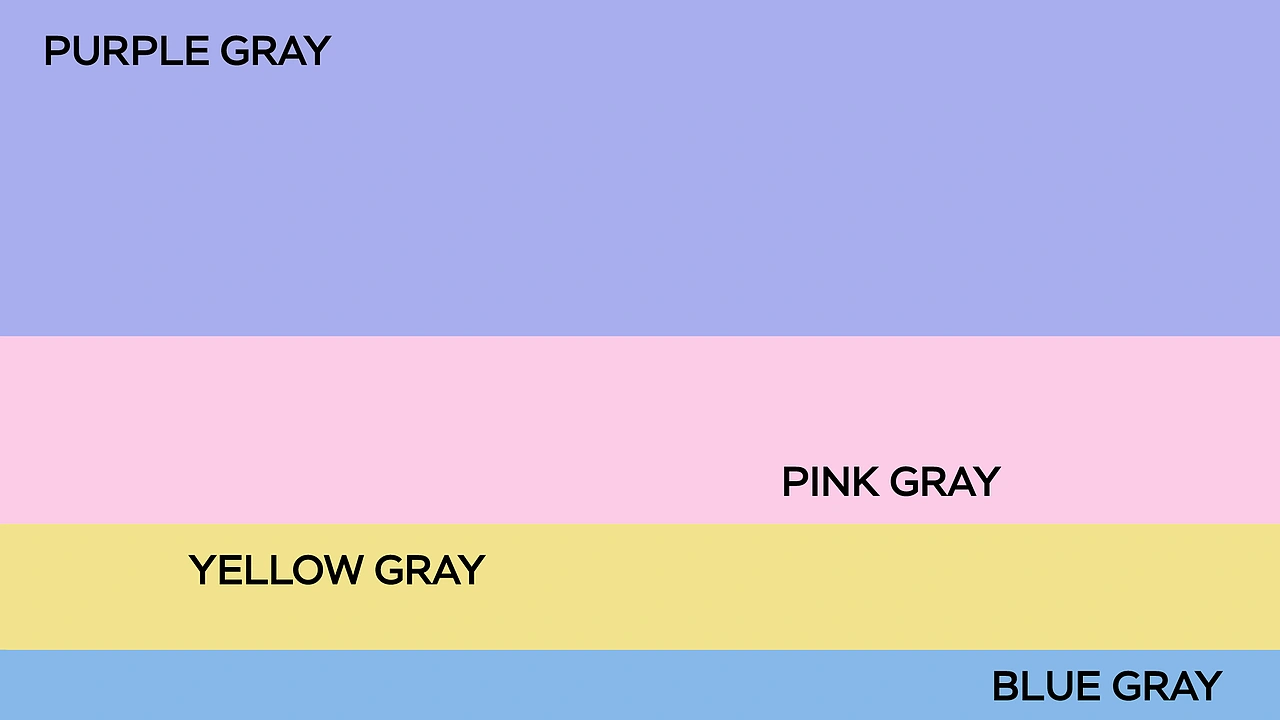 Nonow 宠物猫粮品牌设计 | 狗粮 宠物用品品牌包装设计