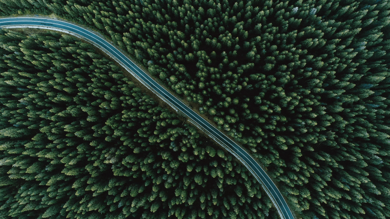 AE动效_CC lens_202306