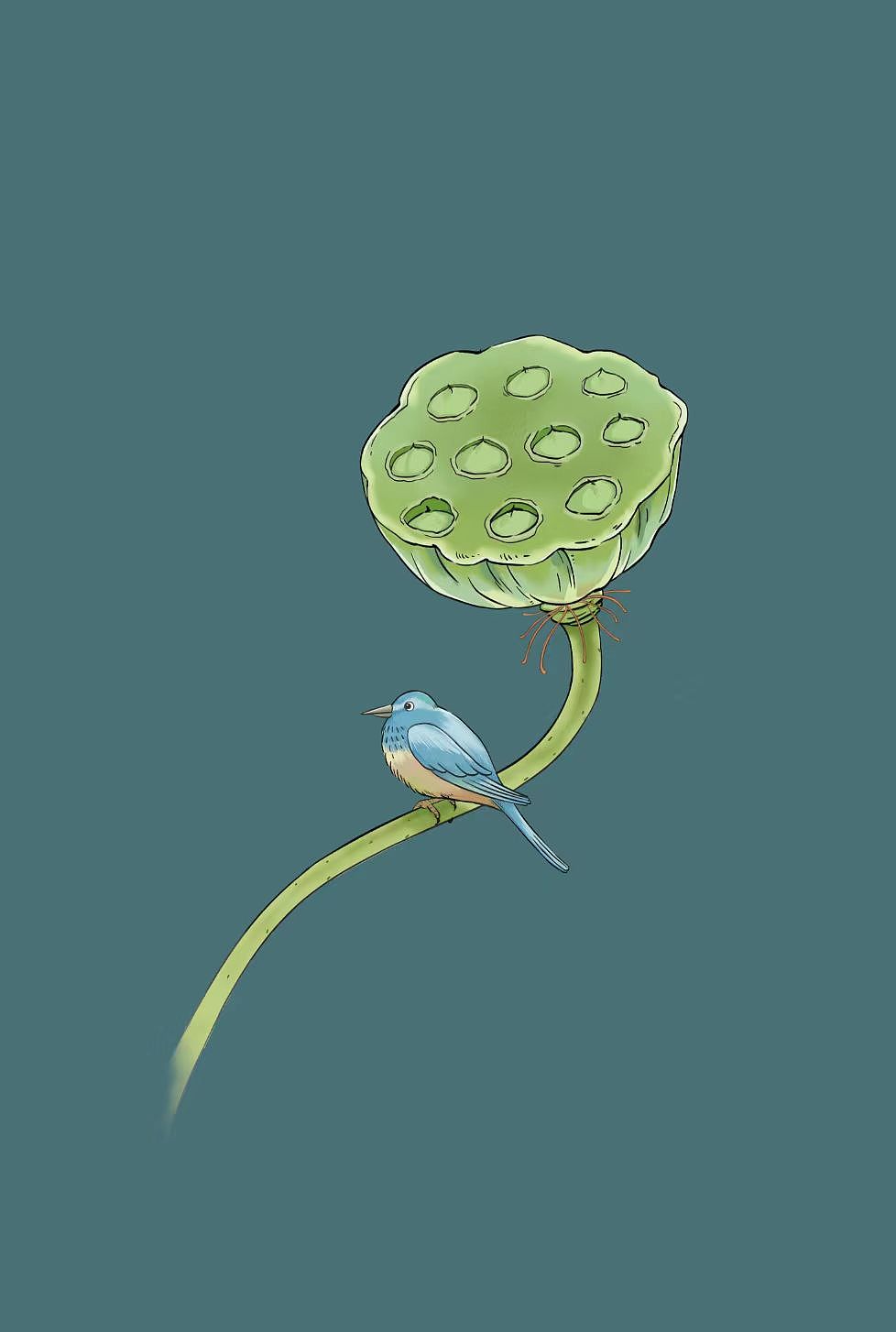 茶艺插画—莲蓬，荷花，竹叶（图ZMzQzMjExMjA4） - 商业插画 - 站酷设计师xiao婷儿原创素材 - 站酷ZCOOL