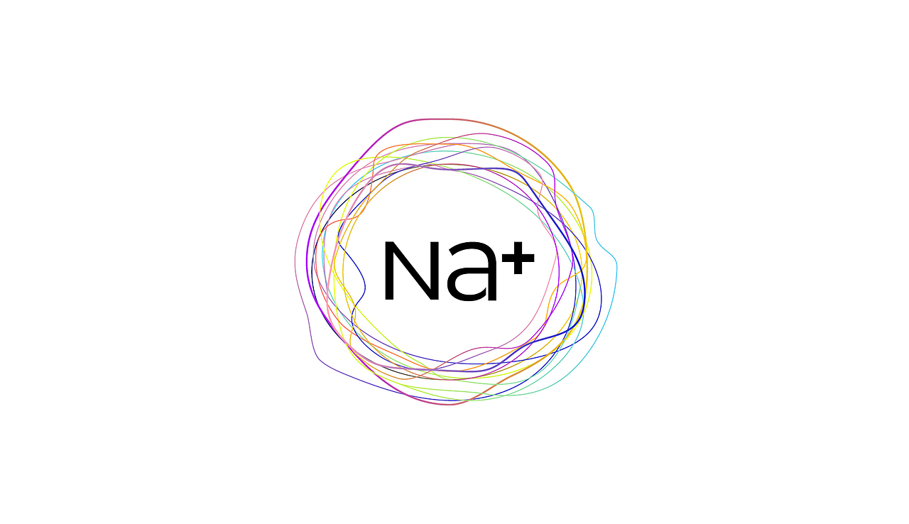 咖啡品牌设计｜ 24小时里的一杯 "Na+" coffee（图ZMzA4NDk2NTk2） - 品牌 - 站酷设计师大雪POINTIN原创素材 - 站酷ZCOOL