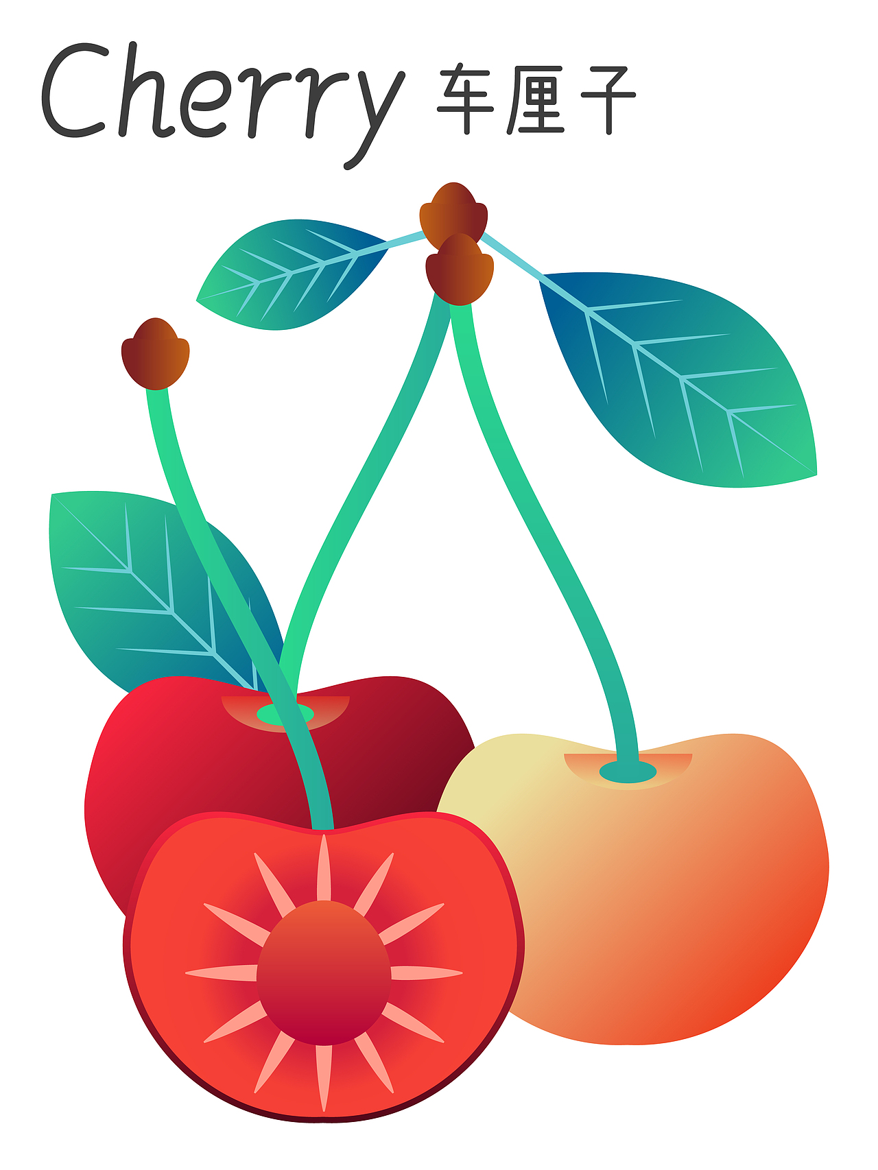 吃个水果 | 矢量扁平风渐变水果图集（图ZMzU1MjQ5NDI4） - 商业插画 - 站酷设计师江小怪原创素材 - 站酷ZCOOL