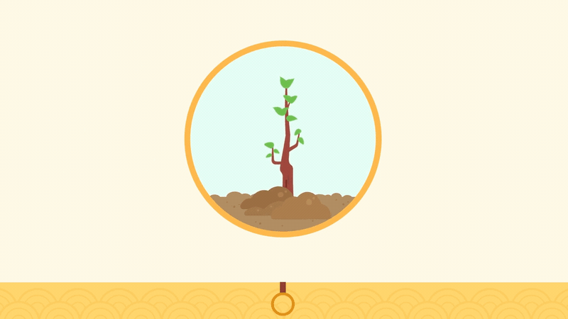 斑马动画 写字篇