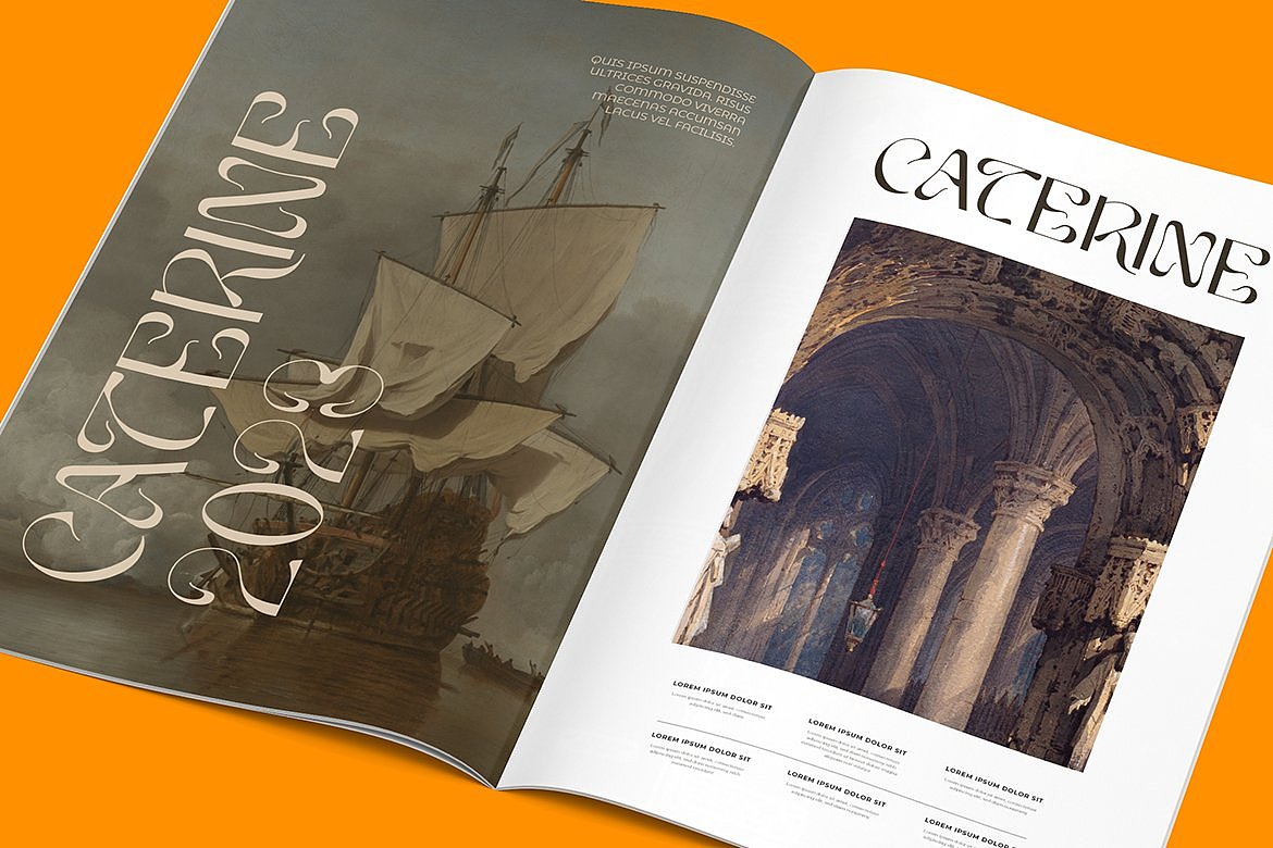 潮流复古优雅时尚文创潮牌海报标题酸性迷幻英文字体