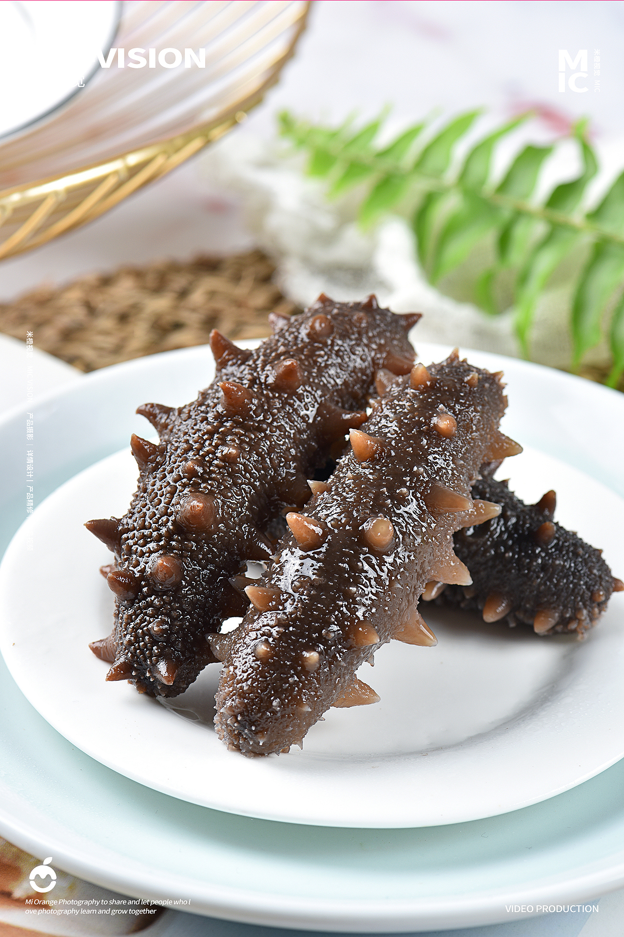 食品类｜海参拍摄