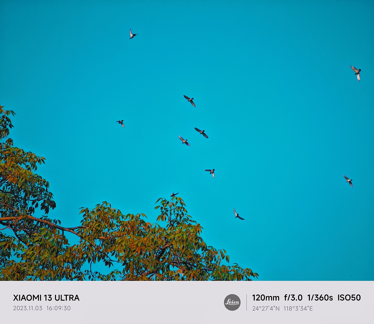 厦门之旅（图ZMzU1MDI4OTg0） - 风光摄影 - 站酷设计师TUBI颗粒子原创素材 - 站酷ZCOOL