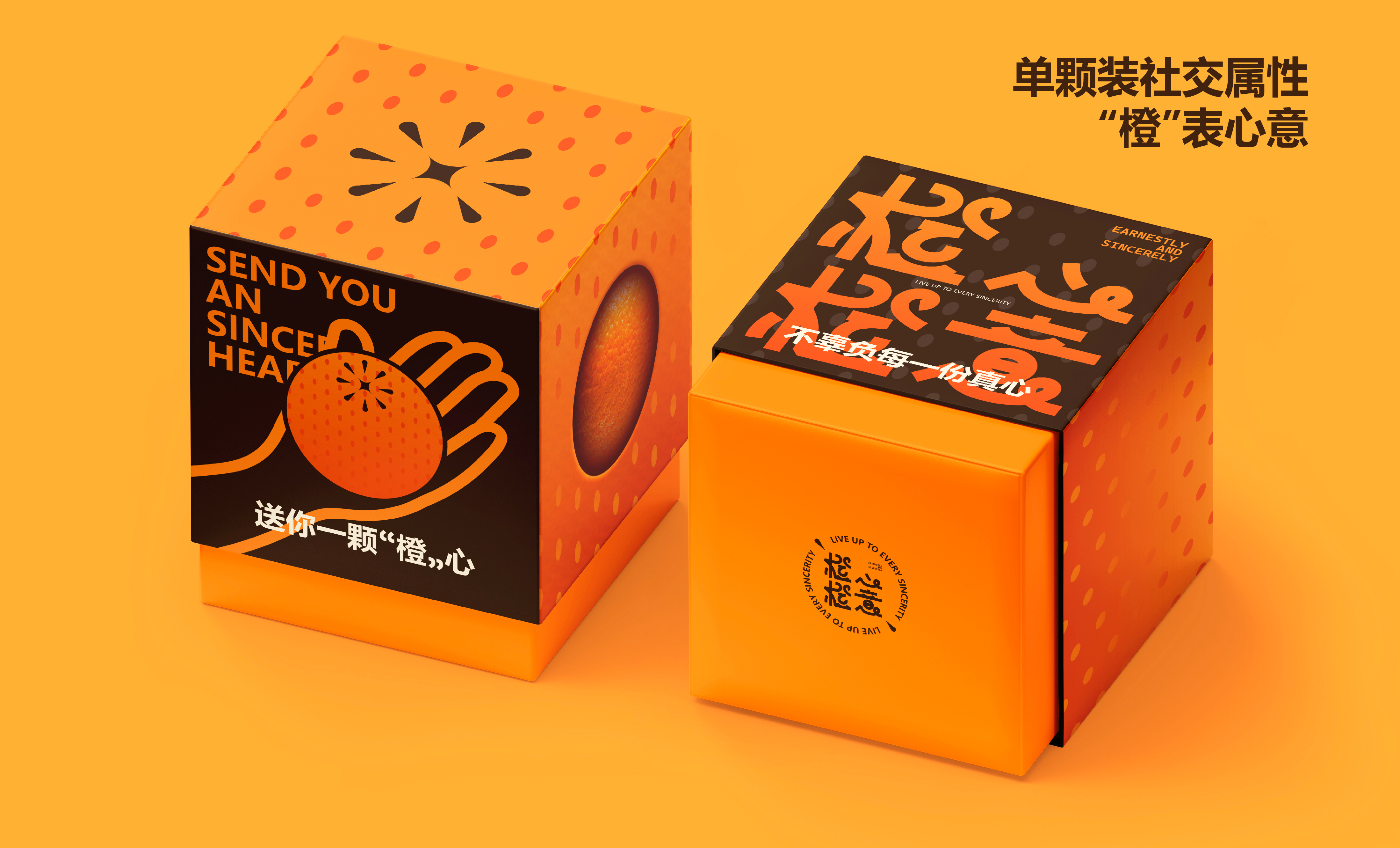 橙心橙意丨橙子包装设计