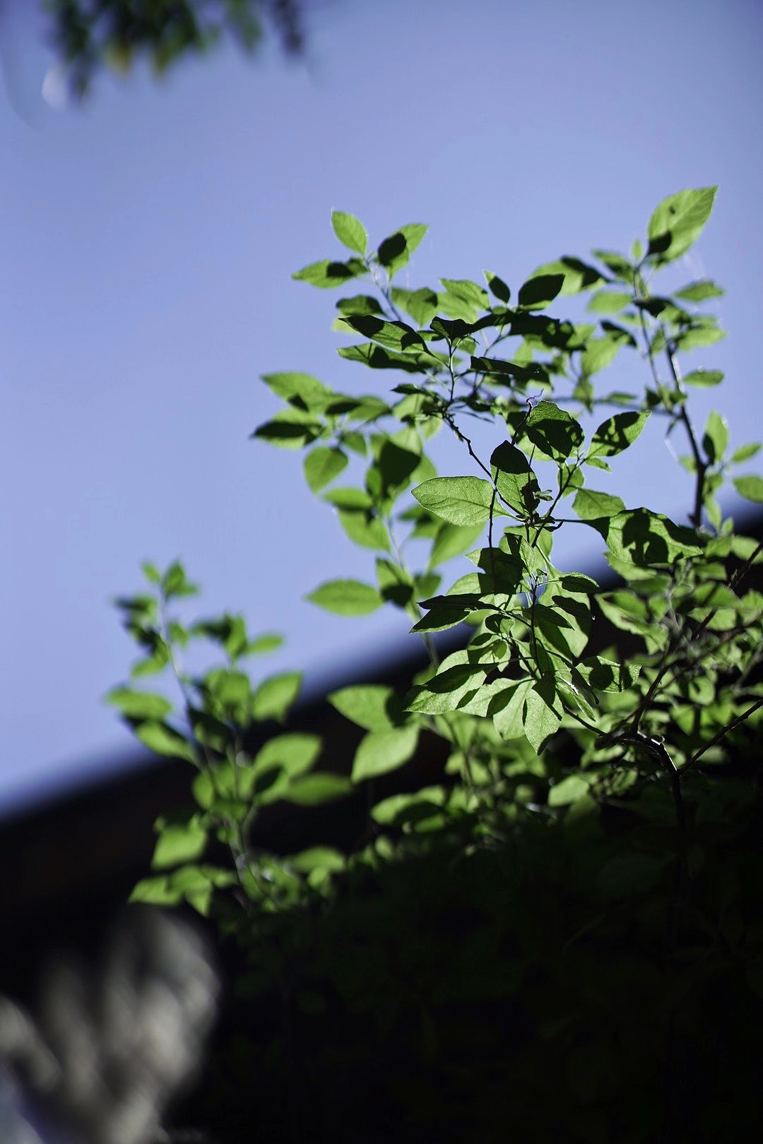 风光2（图ZMzU3NjkwNDI0） - 风光摄影 - 站酷设计师税翔原创素材 - 站酷ZCOOL