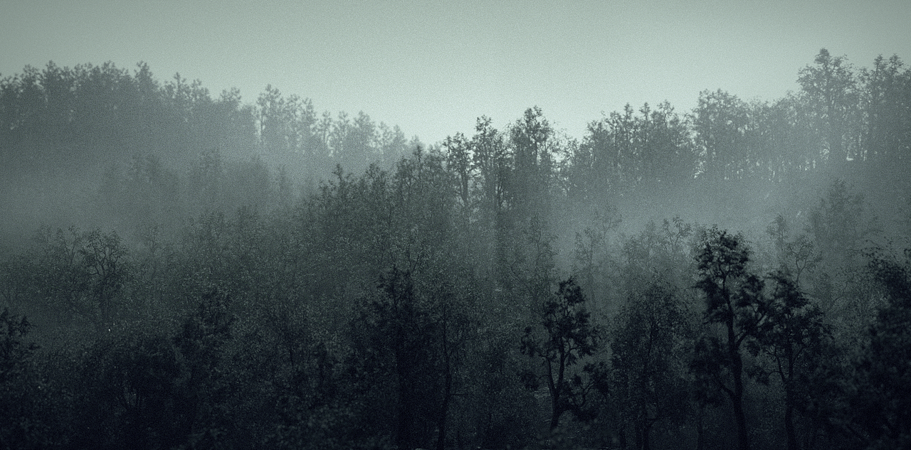 我的国家（图ZMzE4MzgyMjM2） - 产品 - 站酷设计师Donse原创素材 - 站酷ZCOOL