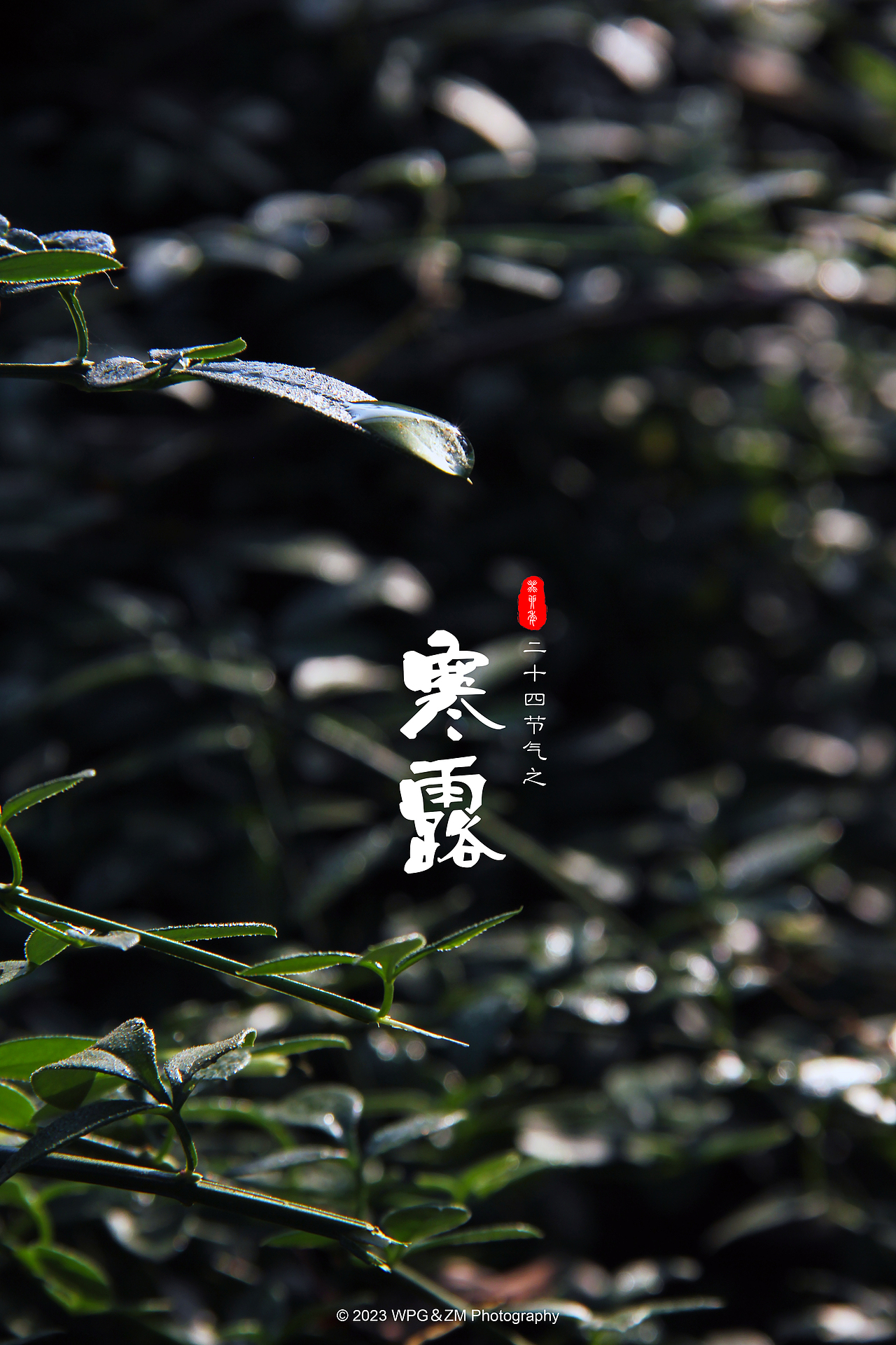 《 寒露 》（图ZMzUyMzA1MzQ4） - 其他摄影 - 站酷设计师王珮光原创素材 - 站酷ZCOOL