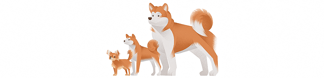 小区汪星人图鉴 | Illustrated Guide of Puppies_夏木叶子-站酷ZCOOL