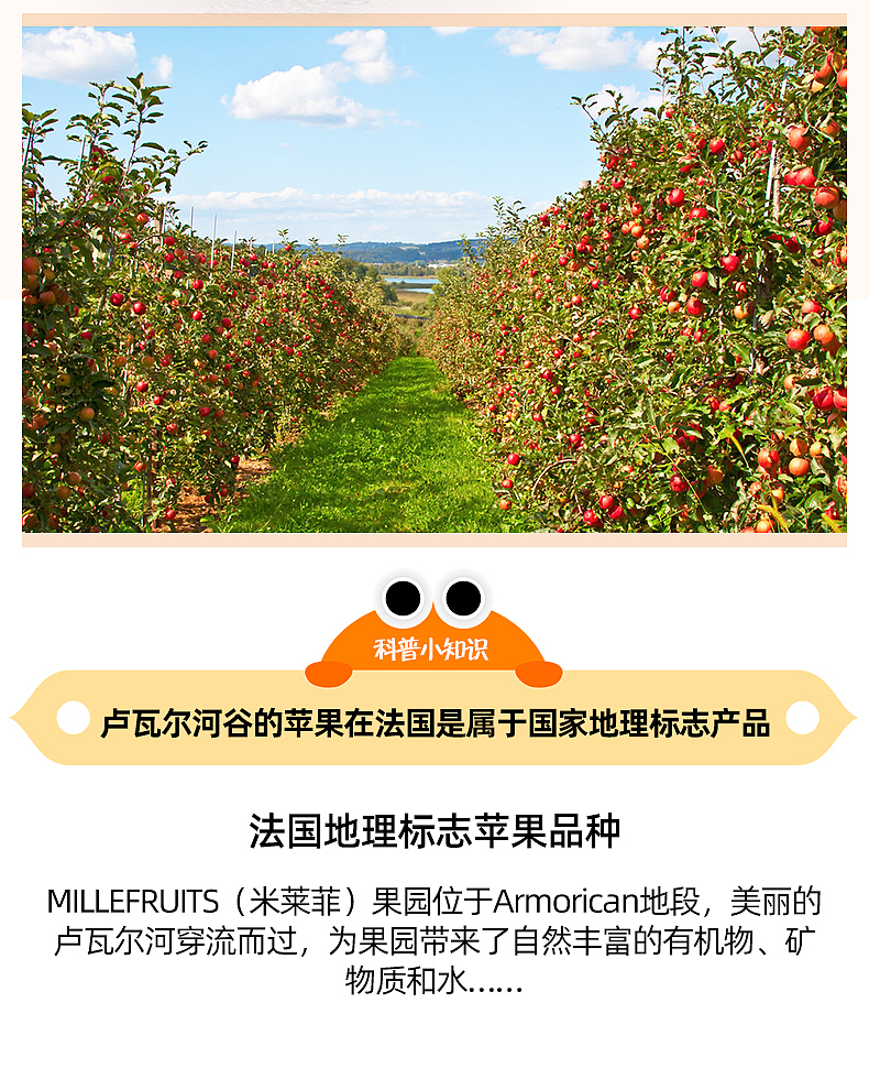 电商详情页婴幼儿零食辅食水果泥